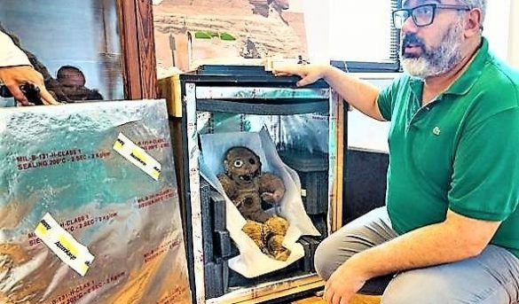 Periódico italiano y Adompretur favorecen Zemí de algodón regrese a RD