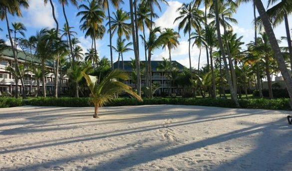 Consejo Mundial de Viajes y Turismo espera que en 2021 se recuperen hasta 111 millones de empleos en el sector