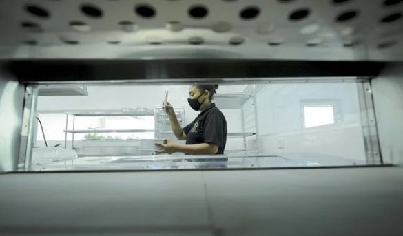 Escuela para formar profesionales en hotelería