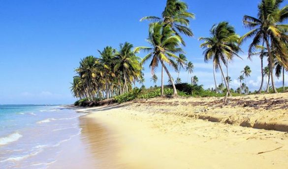 Las playas públicas estarán abiertas en el horario establecido para toque de queda