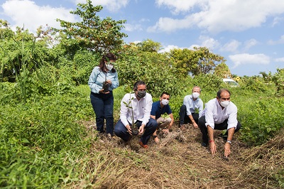 Iberostar lanza iniciativa en RD para restauración de manglares