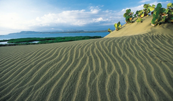 Las Dunas de Bani, provincia Peravia, Rep. Dominicana