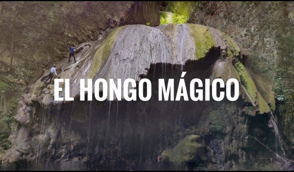 Espectacular atractivo Turístico en Jamao al Norte, el Hongo Mágico de Jamao