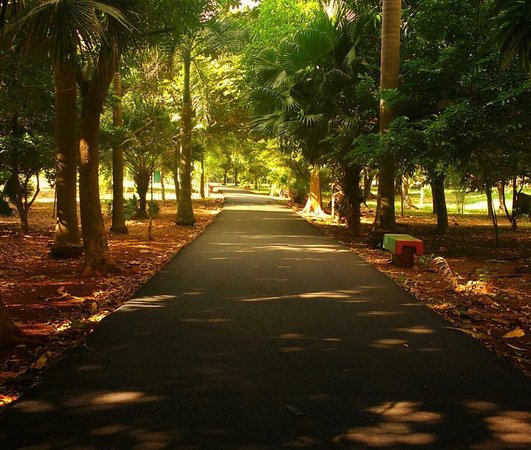 Turismo y recreación al aire libre en Santo Domingo, menos riesgo de contagio de covid