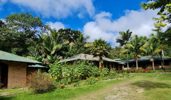 Reserva Científica Ébano Verde: “Entre las nubes que abrazan  la cordillera central”