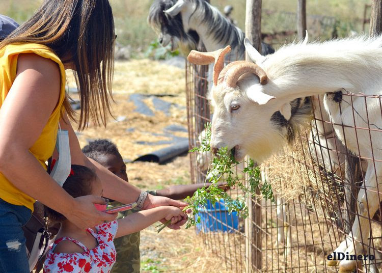 Rancho Caprache en Azua: más que cabras, un destino para el turismo