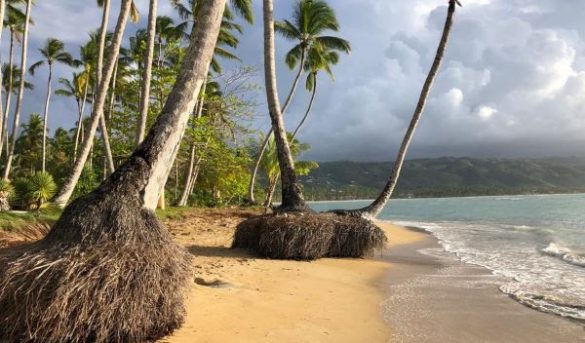 Exministro Turismo advierte creciente erosión en playa Las Terrenas, Samaná
