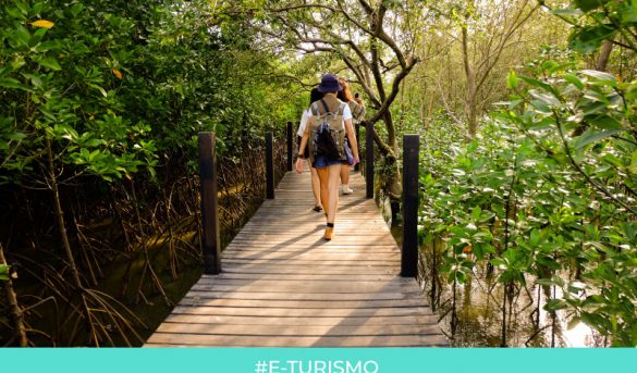 Nateevos, un espacio de experiencias y turismo responsable