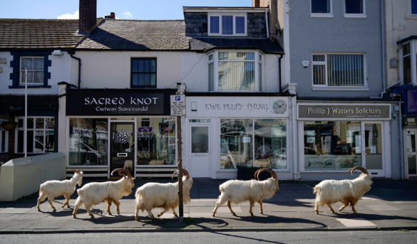 El año que desapareció los turistas