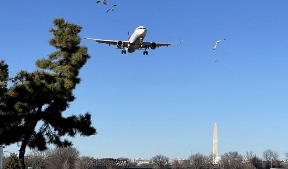 EEUU: Las personas con 2 dosis de vacuna pueden volver a viajar