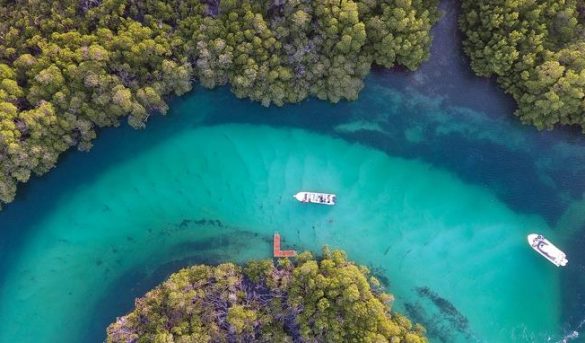 Montecristi y Samaná: por la preservación de la biodiversidad costera y una oferta turística sostenible