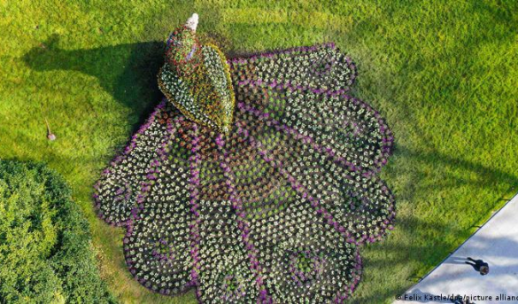 Las flores de Mainau