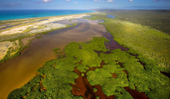 Manglares de Bucán Base, Parque Nacional Jaragua, Provincia Pedernales, Rep. Dominicana