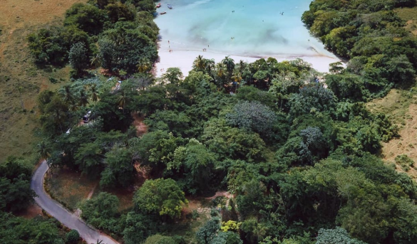 Un punto de oro de la costa norte de Republica Dominicana, Playa Diamante. (Autopista Cabrera-Nagua, provincia María Trinidad Sánchez)