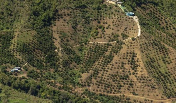 Medio Ambiente prohíbe agricultura y ganadería en Valle Nuevo, «La madre de las aguas» y atractivo ecoturístico