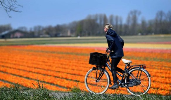Hoy es el Día Mundial de la Bicicleta: por qué se celebra hoy y cuáles son los beneficios para la salud
