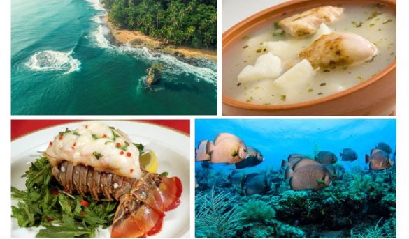 Centroamérica y República Dominicana, región gastronómicamente sostenible