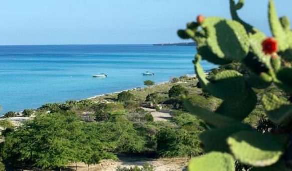 Gobierno iniciará este mes en Pedernales el plan piloto de seguridad fronteriza