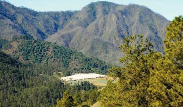 Valle Nuevo: Un Parque Nacional lleno de riquezas