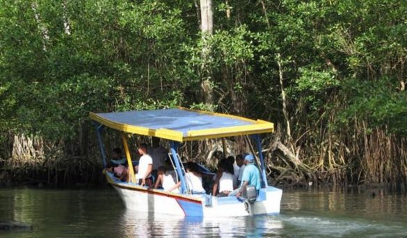 Ecoturismo, la alternativa para diversificar la oferta en región norte