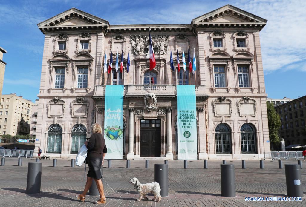 1310174678_16310655649341n