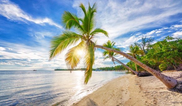 Punta Cana | Sostenibilidad en el destino más codiciado del Caribe