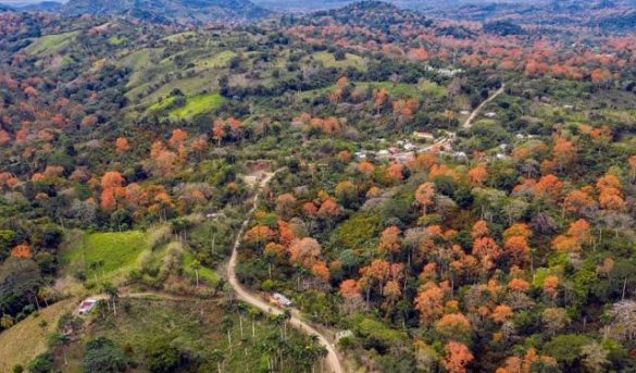 Vicentillo, un valle encantado y capital del ecoturismo en el Este
