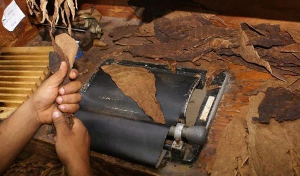 Impuestos al tabaco dominicano no van; Estados Unidos desiste del proyecto