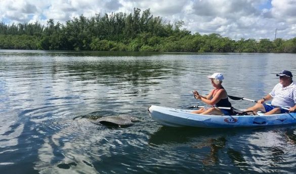 En Palm Beach, la naturaleza puede ser tu gimnasio