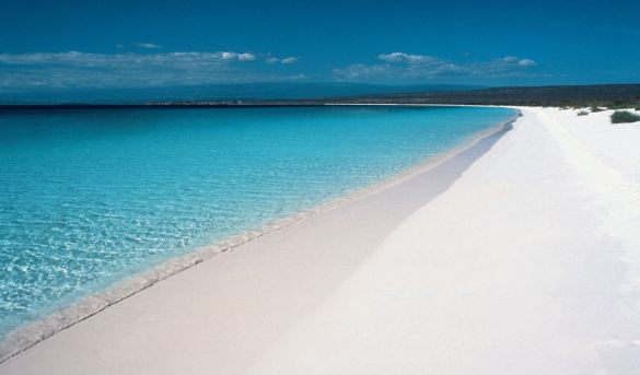 Este grandioso espectáculo de la naturaleza solo aparece en República Dominicana