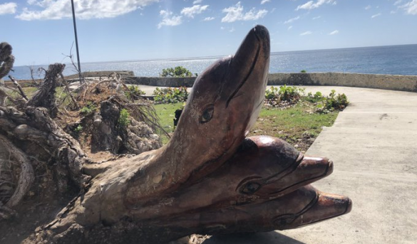 La magia del artista, tres delfines de un tronco caído en el malecón de Sto.Dgo. Este.