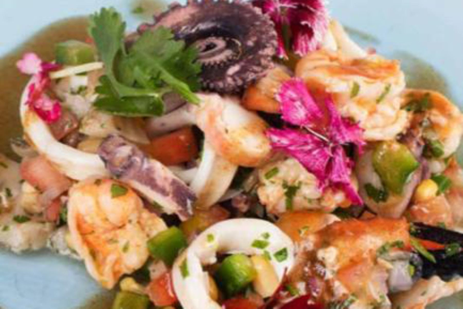 Libro presentará lo mejor de la gastronomía peruana y dominicana