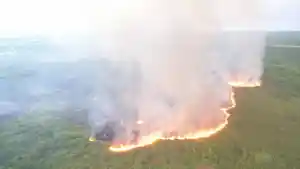 Foto del incendio forestal hoy en Cap Cana