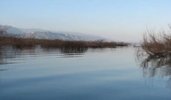 Siete humedales dominicanos para disfrutar en bote