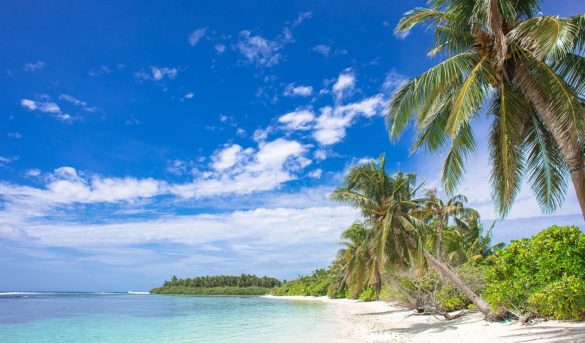 Las mejores actividades y excursiones en Samaná