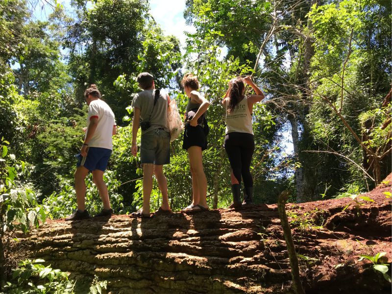 62142a5459bf5b10101a2c31