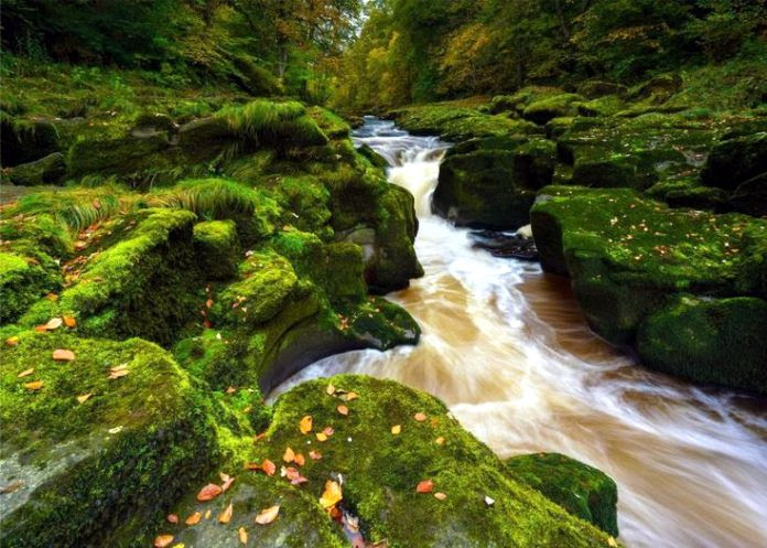 Bolton Strid: el tramo de agua más traicionero y mortífero del mundo