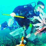 El turismo subacuático, un segmento alternativo a la espera de ser explotado