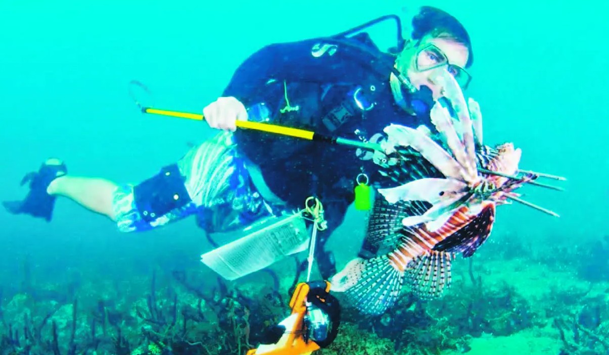 El turismo subacuático, un segmento alternativo a la espera de ser explotado