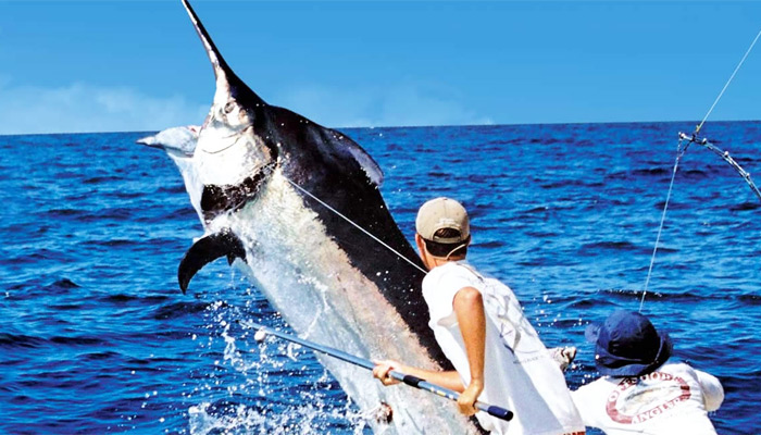 Cap Cana anuncia Torneo de Pesca al Marlin Blanco 2022