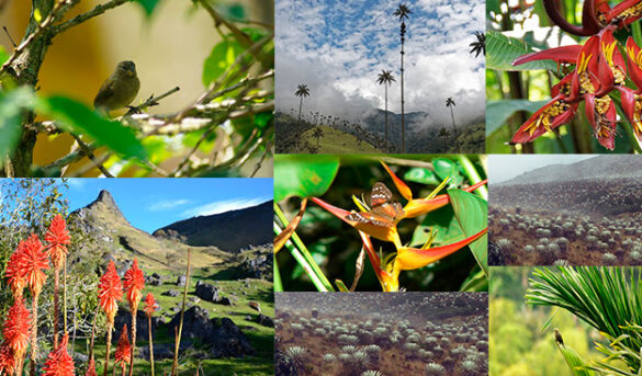 La WTT revela cuales son las Claves para el despegue turístico colombiano en el gobierno de Gustavo Petro