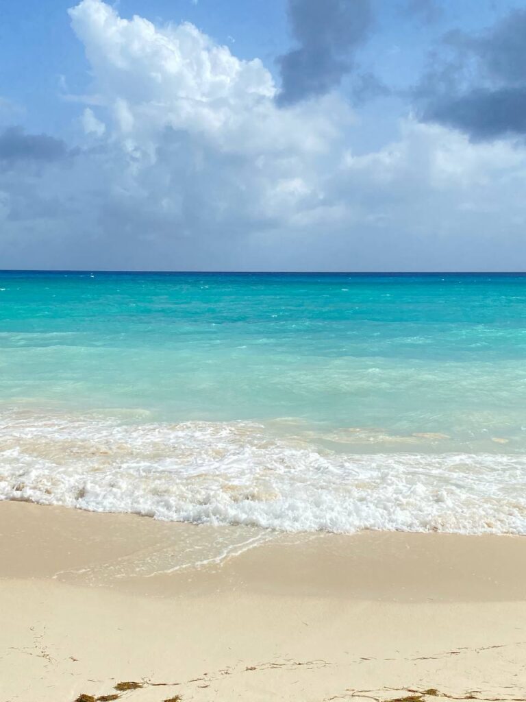 Caribe Turismo: Dominicus entre las mejore playas