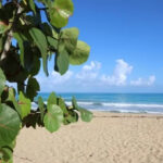 Punta Cana, excelente zona para hacer turismo e inversión