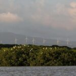 Revista Forbes destaca la República Dominicana se está volviendo verde para impulsar el turismo y la seguridad energética