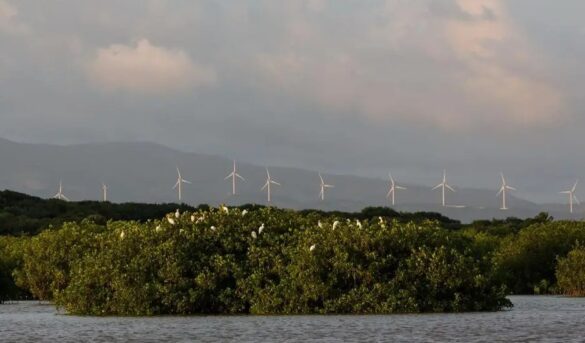Revista Forbes destaca la República Dominicana se está volviendo verde para impulsar el turismo y la seguridad energética