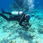 Buceo recreativo, gran experiencia submarina que diversifica el turismo sostenible en aguas dominicanas