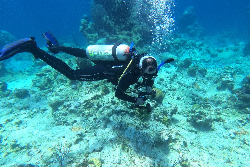 Buceo recreativo, gran experiencia submarina que diversifica el turismo sostenible en aguas dominicanas