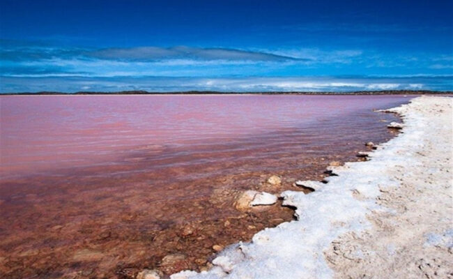 La ruta de los 5 lagos color rosado más bellos del mundo y el porqué de su extraño aspecto