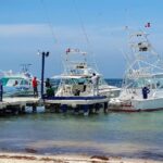 Este jueves inicia la XXXI edición del Torneo Internacional de Pesca al Marlin Azul