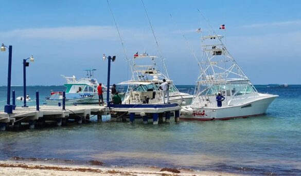 Este jueves inicia la XXXI edición del Torneo Internacional de Pesca al Marlin Azul